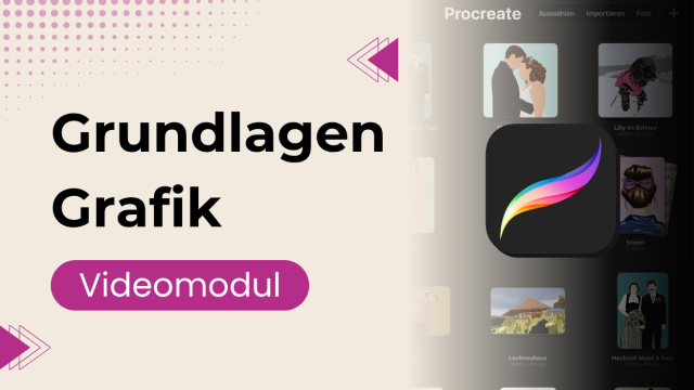 103 Procreate Illustrator & Workflow